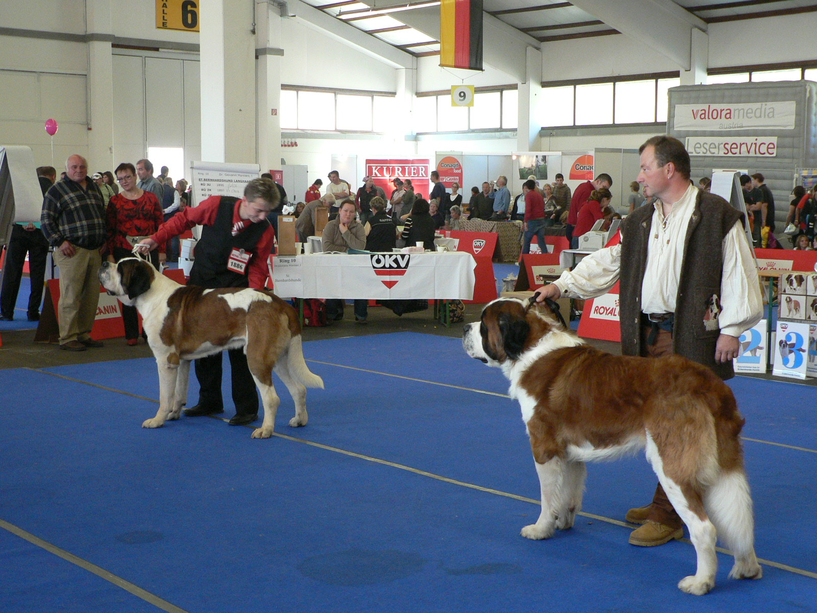 CACIB Tulln 2007-vítězové BOB krátkosrstý a dlouhosrstý pes