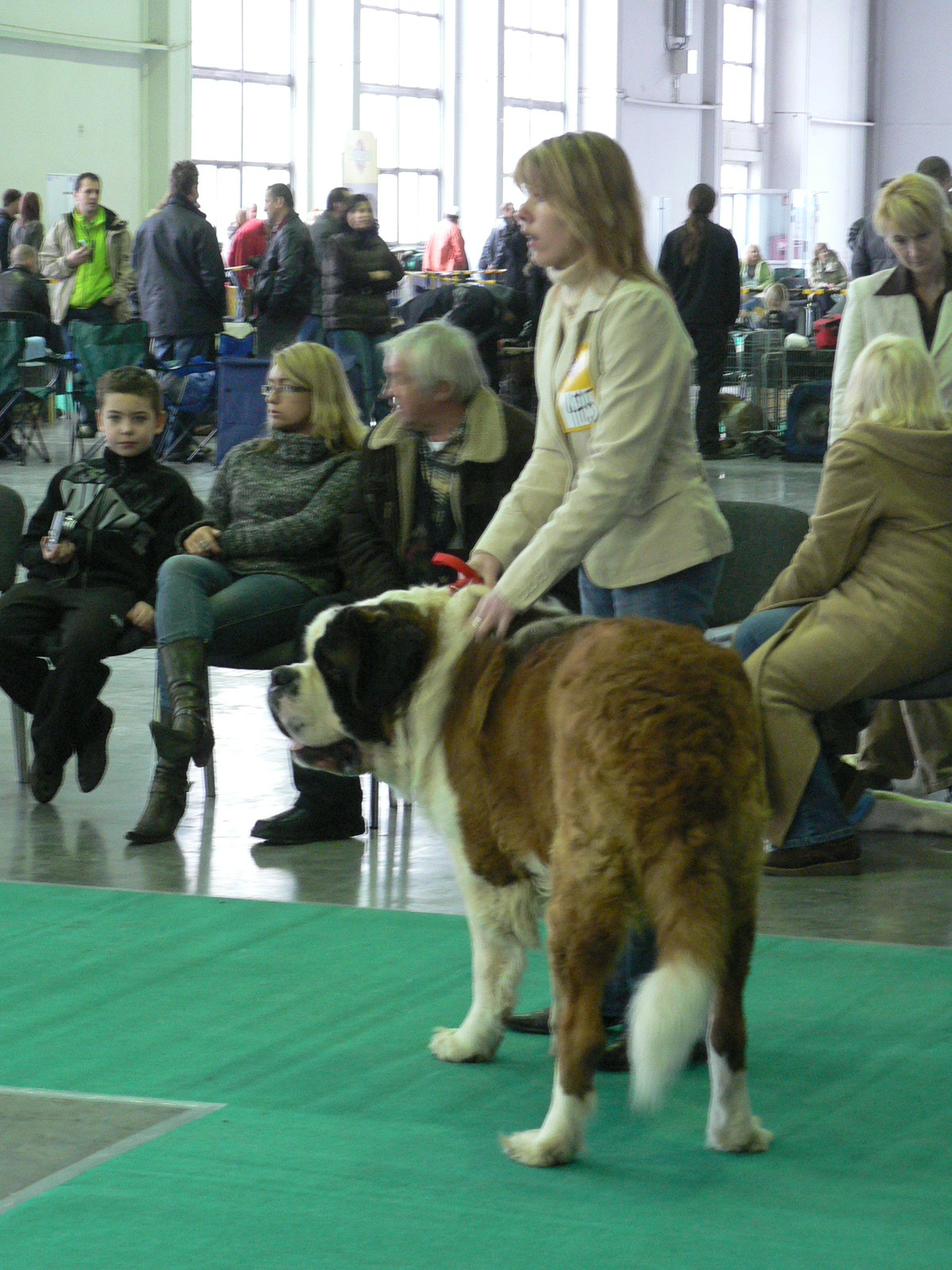 pes dlouhosrstý mezitřída Wigor z Karolewka